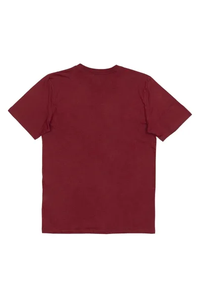 CAMISETA DC DCSHOECOUSA