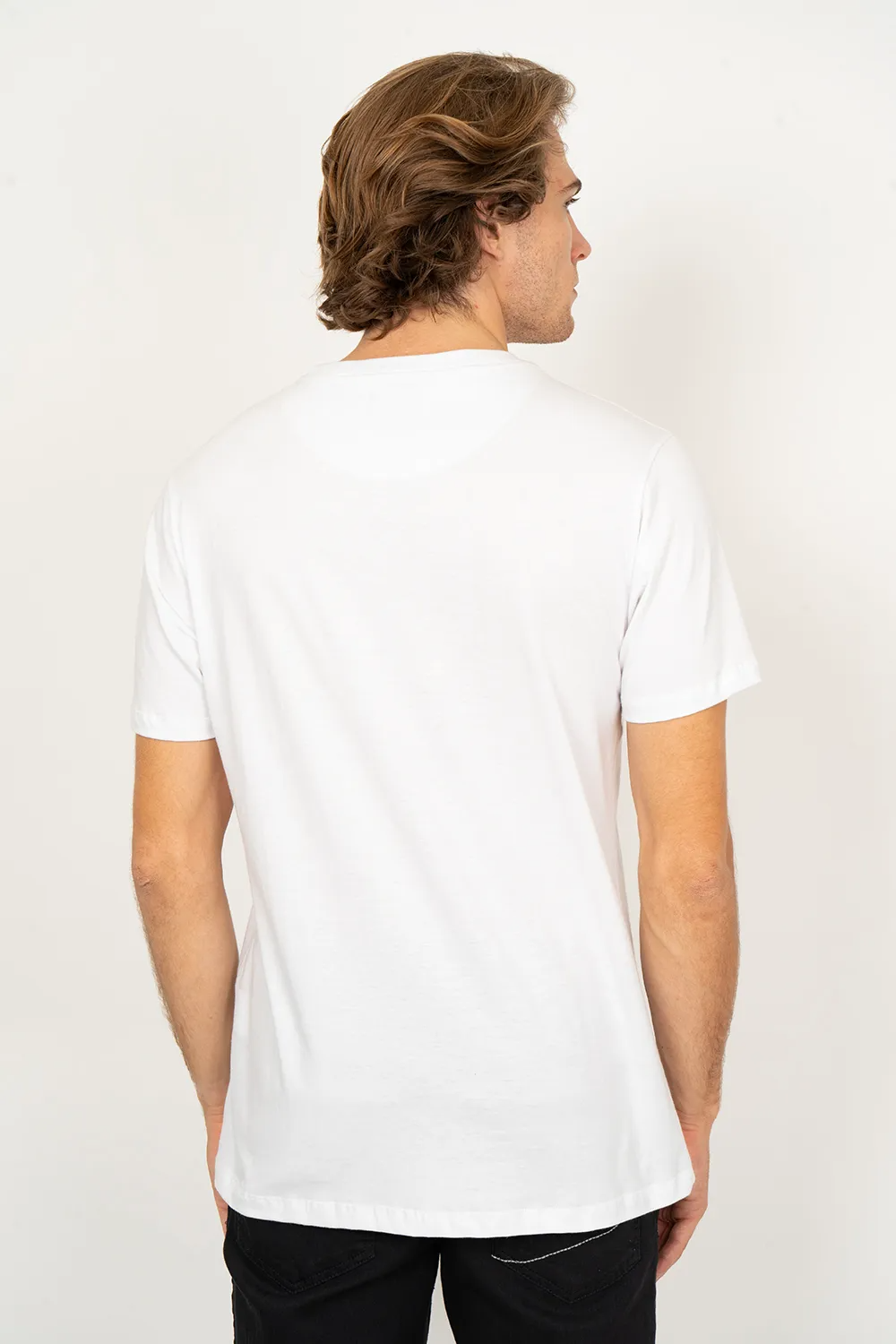 CAMISETA M/C QUIKSILVER DOMED LOGO CHECKER